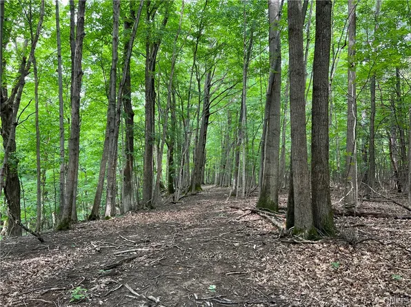 LOT Sweet Rd #A, Manlius, NY 13104