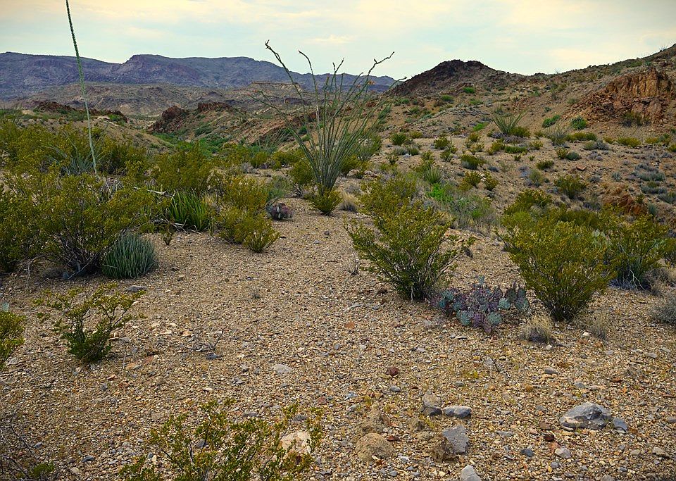 52 Terlingua Ranch Rd 2, Terlingua, TX 79852 MLS 140342 Zillow