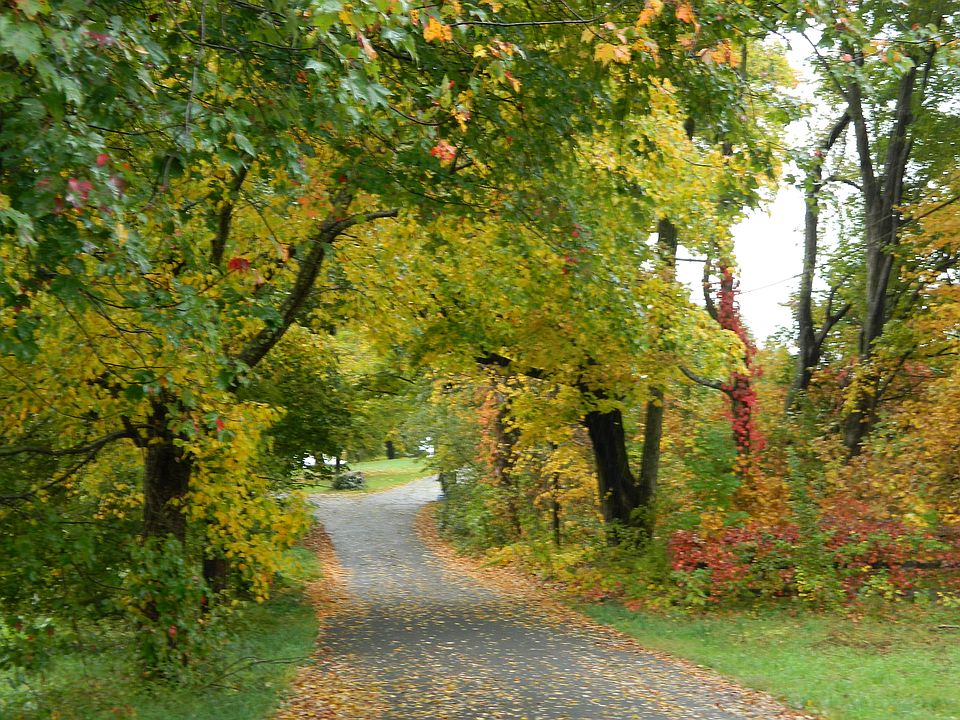 Country setting
