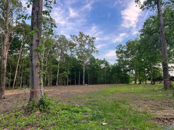 28402 Jessica Dr, Toney, AL 35773