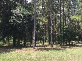15614 Pendio Dr, Montverde, FL 34756