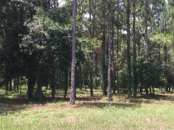 15614 Pendio Dr, Montverde, FL 34756