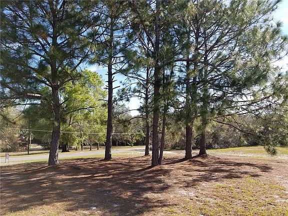 2nd image of 119 Lake Dr