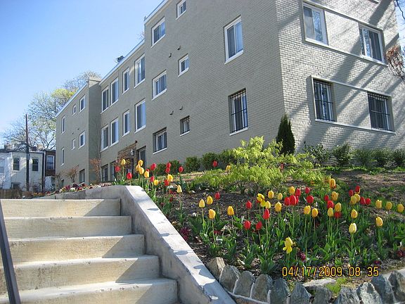 3rd image of 36 T St NE #201