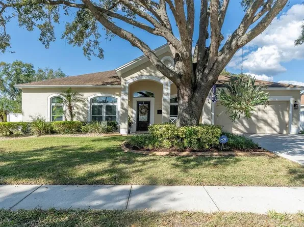 11804 Tall Elm Ct, Riverview, FL 33569