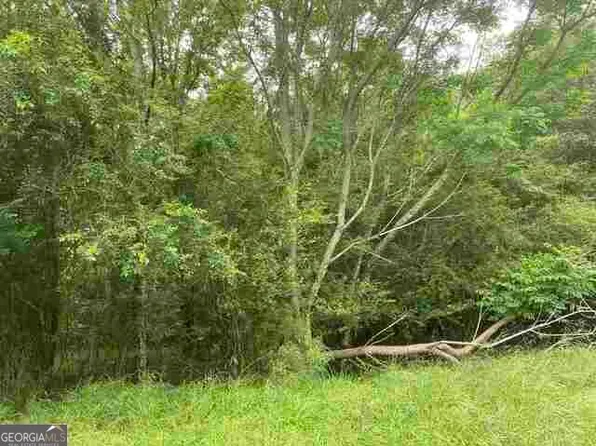 0 River Birch Ln Lot 9, Colbert, GA 30628