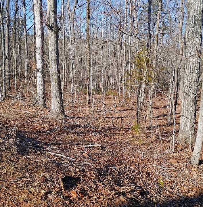 1st image of 0 County Line Rd S