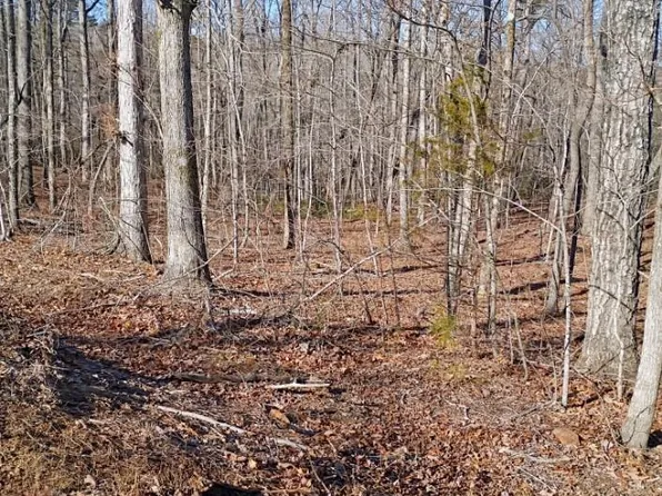 0 County Line Rd S, Rutherfordton, NC 28139