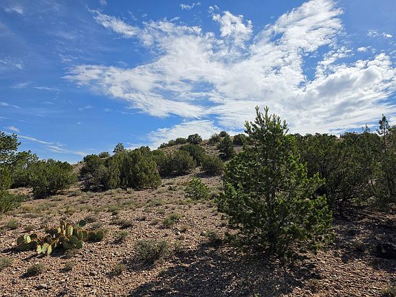5th image of Yucca Ln Lot 105