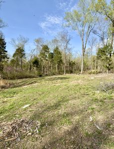 0 Buncombe Rd, Belvidere, TN, 37306