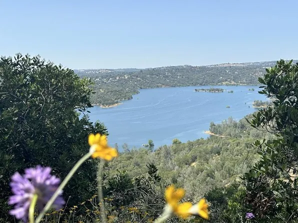 1119 Montauk Vista Rd, Pilot Hill, CA 95664