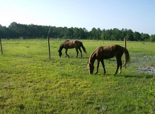 5361 Poyner Oaks Rd S, Polk City, FL 33868