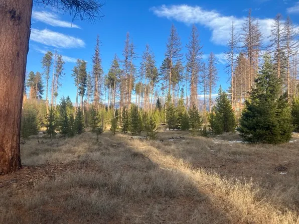 201 W Peacemaker Ct, Seeley Lake, MT 59868