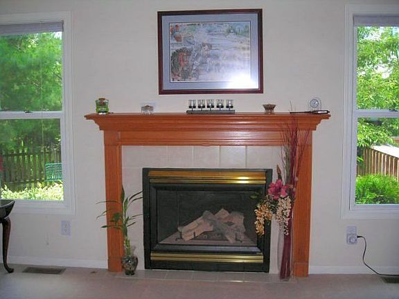 Living Room Fireplace