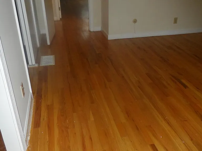 38 Williamsburg Dr — Photo 12