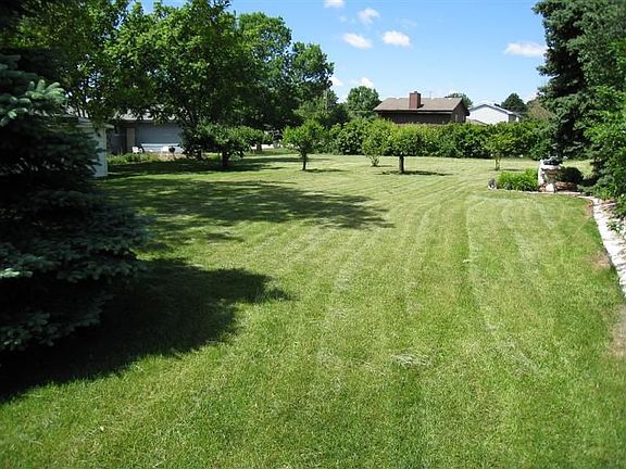 Manicured back yard