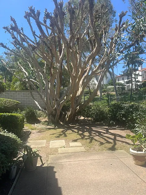 7013 Rockrose Ter — Photo 2