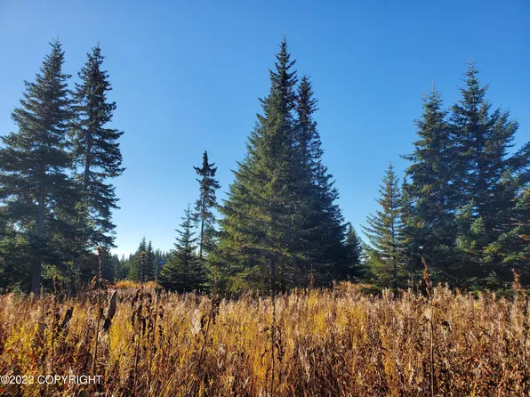 67698 Shavila Rd, Ninilchik, AK 99639
