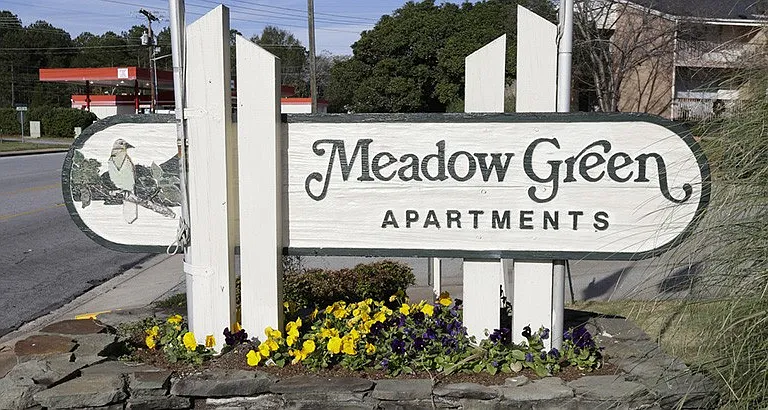 Meadow Green — Photo 4
