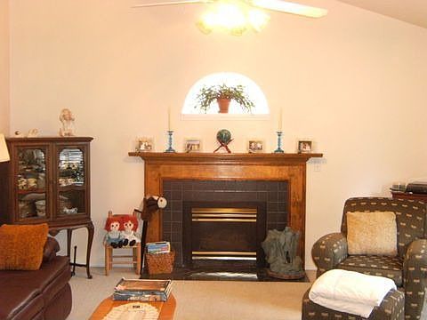 Fireplace in Living Room