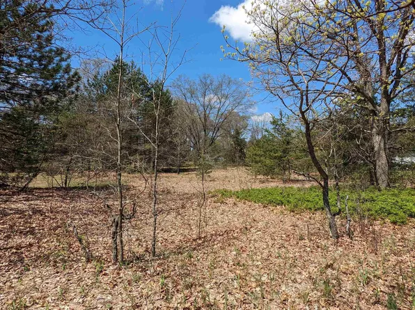 LOT 19 Wingert St, Brethren, MI 49619