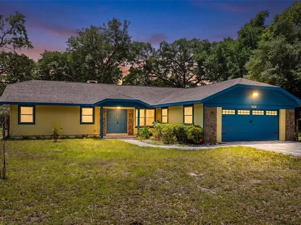 7838 Sloewood Dr, Mount Dora, FL 32757