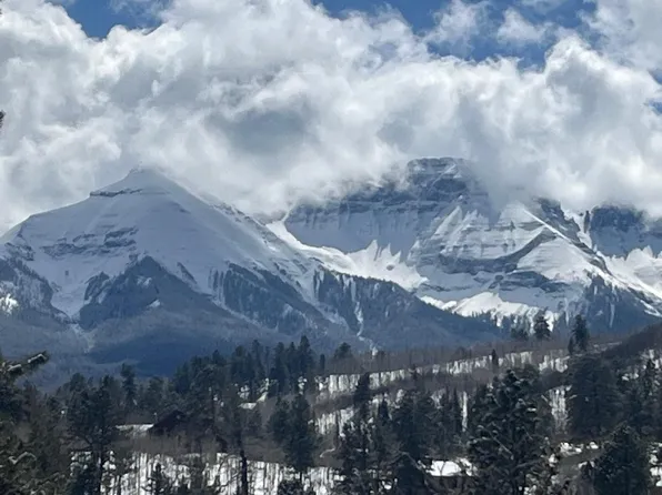 Forest Hill Rd #12, Ridgway, CO 81432