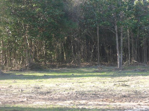 5th image of 0 Us Highway 29 N