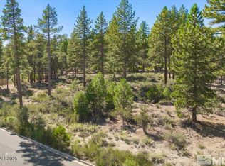 20585 Margaux Rd, Reno, NV 89511