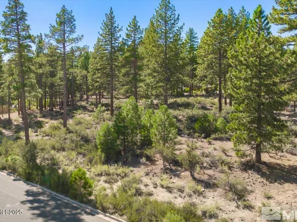 20585 Margaux Rd, Reno, NV 89511