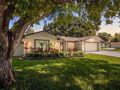 3046 OAK COVE DRIVE, Clearwater, FL, 33759