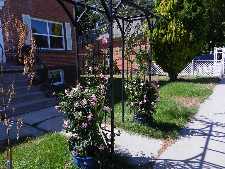 555 W 500 N #1 — Photo 22