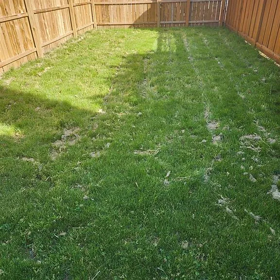 3 Elm Ct — Photo 7