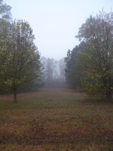 195 Carolina Club Dr, Grandy, NC, 27939