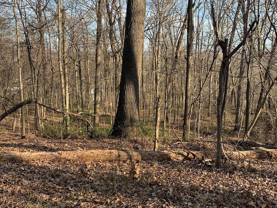 2nd image of Walters Hatchery Rd