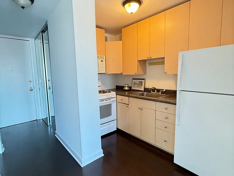 1 E Scott St #2102 — Photo 3