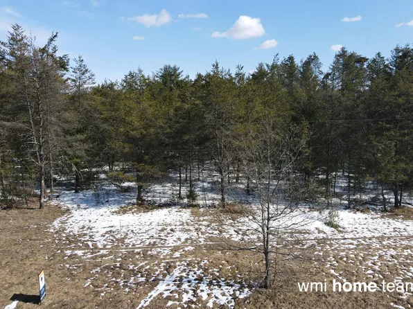 PARCEL 2 N West County Line Rd, Newaygo, MI 49337