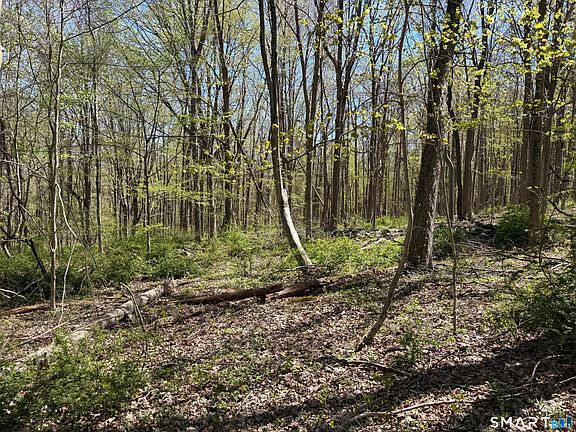 5th image of 163 Clapboard Ridge Road
