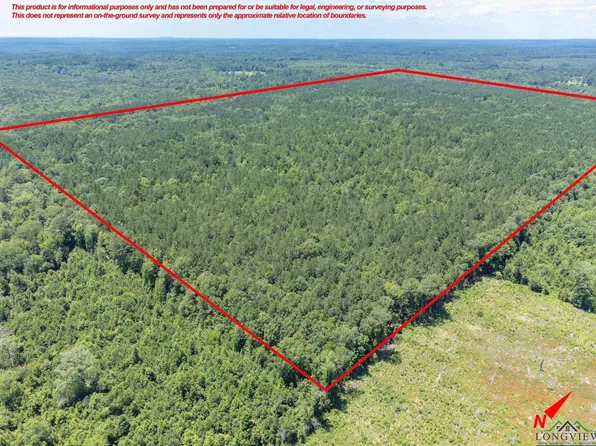 County Road 1921, Atlanta, TX 75551