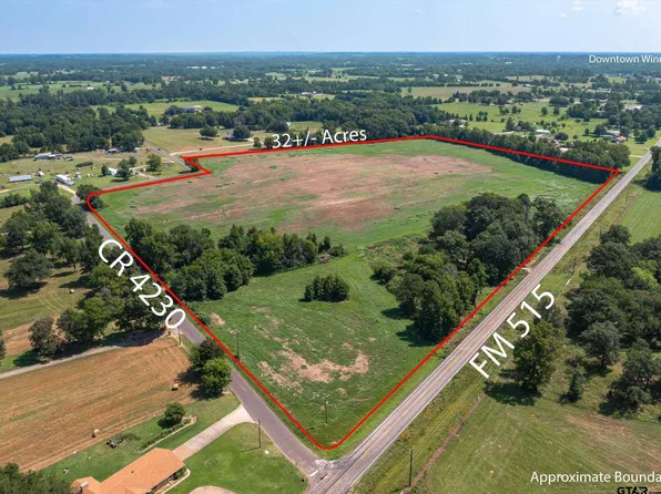 E Fm 515, Winnsboro, TX 75494