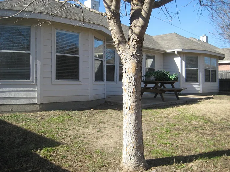 Back of the house