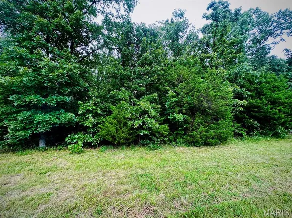 0 County Road 4180 Lot 8, Salem, MO 65560