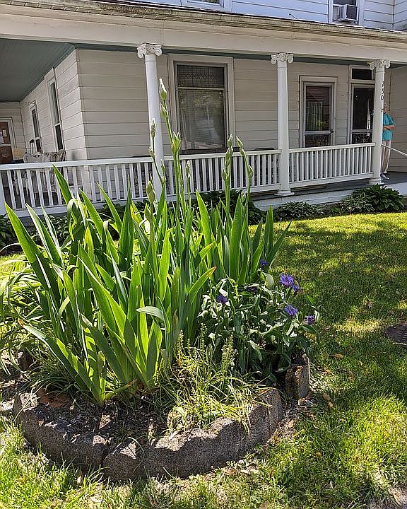 FrontYard