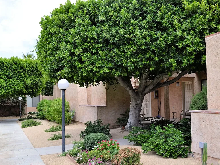 Parkwood Apartments — Photo 13
