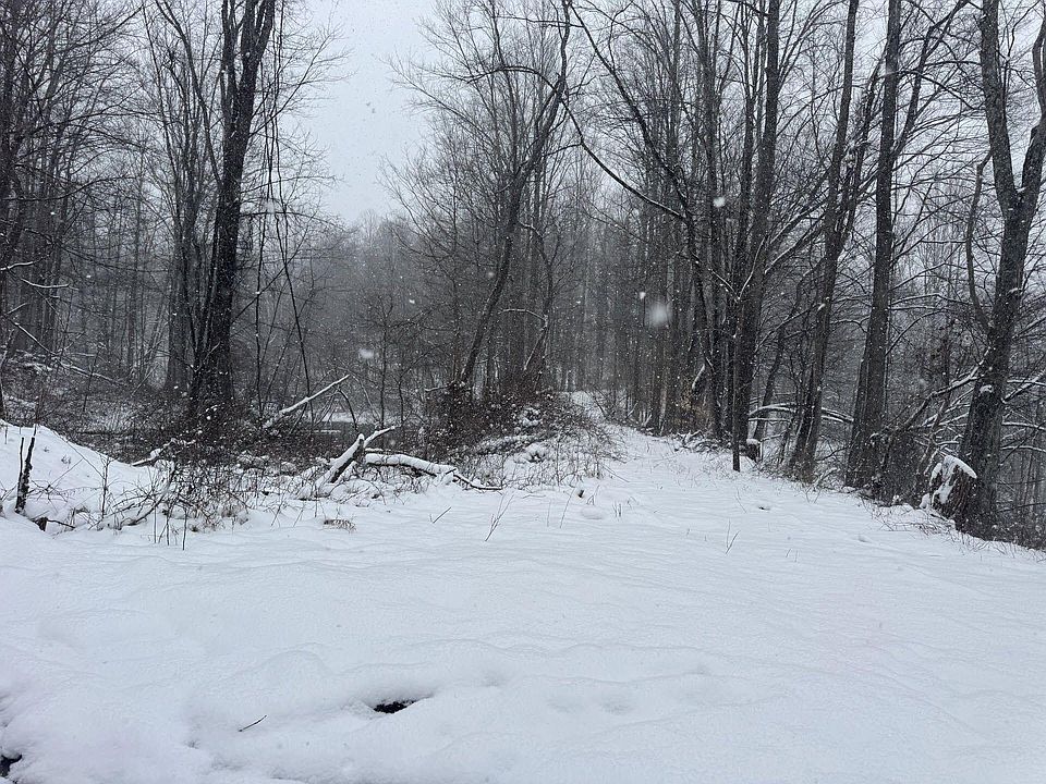 1st image of 435 Old Long Branch Rd