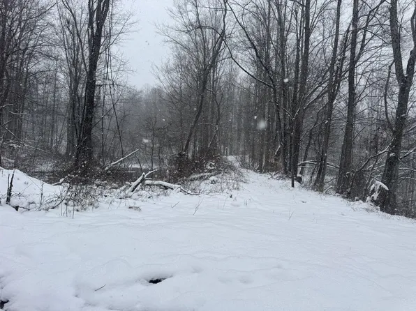 435 Old Long Branch Rd, Pax, WV 25904