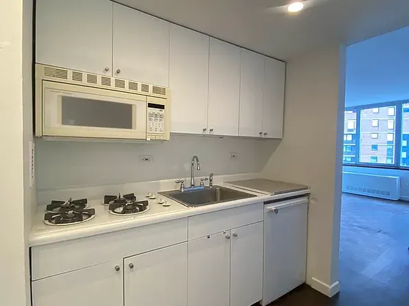 500 West 43rd Street image 4 of 6