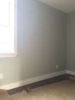 Rented by P Management | media 12