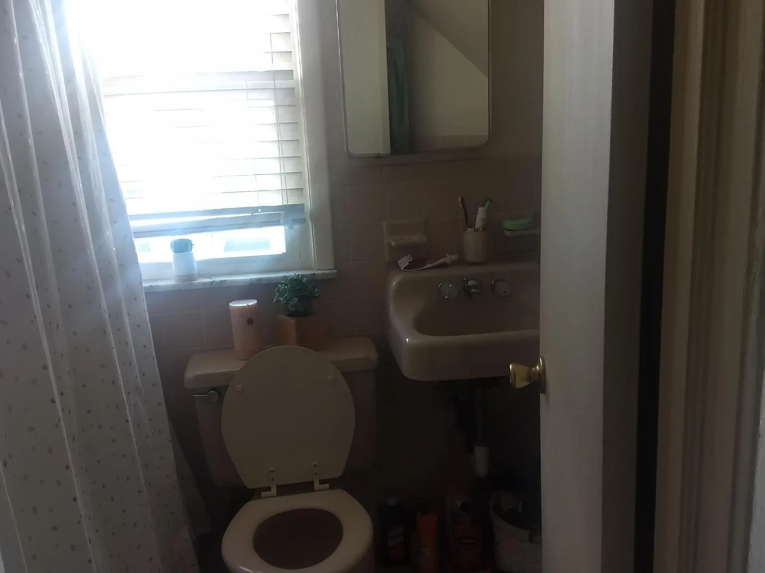 1 bed, $1,600 — Photo 4