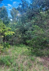3753 Grays Ln #2A, Goochland, VA, 23063